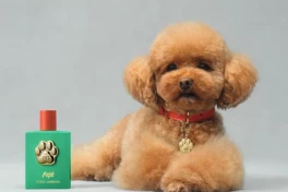 Dolce & Gabbana ra mắt nước hoa "chanh sả" dành cho cún cưng quý tộc, giá đắt giật mình