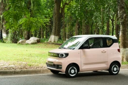 Nhà phân phối Wuling Mini EV dính nghi vấn của kiểm toán vì nghi ngờ khả năng hoạt động liên tục?