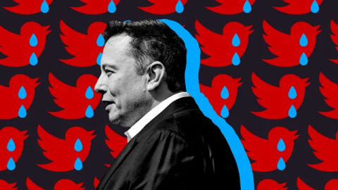Elon Musk "gấu" quá, tuyên bố thẳng: Trump phải thắng