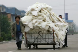 Trang trại Trung Quốc xuất hiện 100 loài virus, trong đó có loài virus lạ có thể lây sang người