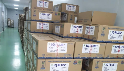 Ai bảo vệ người tiêu dùng khi 500 tỷ sữa giả tồn tại suốt 3 năm?