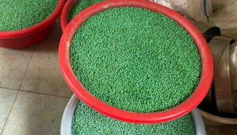 Sữa giả chưa xong lại đến thuốc giả: Vụ thuốc giả "khủng" ở Thanh Hóa