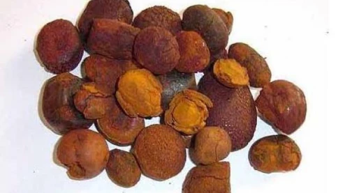 Những hiểu lầm tai hại về An Cung Ngưu Hoàng