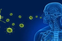 Thật đáng sợ: hóa ra vi khuẩn có thể phát tán từ Trung Quốc sang tận Nhật Bản