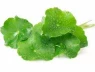 Giải nhiệt đỉnh cao: 7 loại nước giúp bạn 'hạ hỏa' và tăng cường sức khỏe