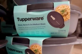 Nhựa Tupperware có an toàn hơn các loại nhựa khác không? Nếu có thì vì sao?