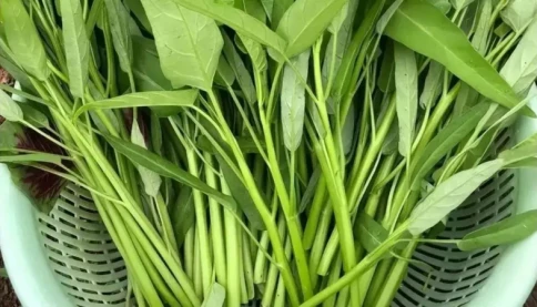 Rau muống "quốc dân" nhưng những người này không nên ăn!