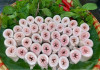 Chỉ vì lòng se điếu rất nhiều người tự nhận làm lò mổ nhưng vẫn không chốt được lòng se điếu là gì