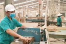Nghị quyết số 68-NQ/TW của Bộ Chính trị về phát triển kinh tế tư nhân