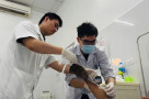 Hú vía: Anh thợ điện thoát chết sau tai nạn điện giật cháy đen bàn tay