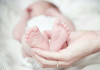 Mỗi người cần sinh bao nhiêu con để nhân loại không tuyệt chủng?