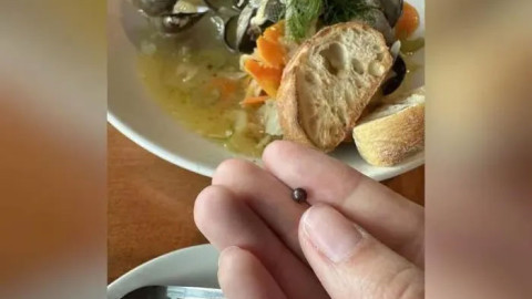 Ăn nghêu xào, cô gái vô tình cắn phải viên ngọc màu tím siêu hiếm