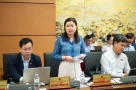 Vì sao không bầu các chức danh chủ tịch cấp tỉnh, cấp xã mới?