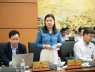 Vì sao không bầu các chức danh chủ tịch cấp tỉnh, cấp xã mới?