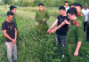 Dựng lại hiện trường vụ 2 người Trung Quốc đào bới lăng mộ vua Lê Túc Tông ở Thanh Hóa