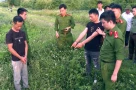 Dựng lại hiện trường vụ 2 người Trung Quốc đào bới lăng mộ vua Lê Túc Tông ở Thanh Hóa
