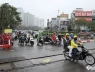 Dừng chờ quá vạch dừng, tài xế bị phạt tiền như vượt đèn đỏ
