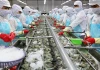 Tăng giá điện: Người dân lo áp lực, doanh nghiệp sợ ‘đu’ phí