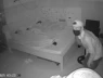 Mở camera xem cảnh lúc 3h sáng, người phụ nữ rụng rời vì thấy trộm lẻn vào