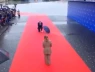wow, wow, Thủ tướng Albania QUỲ gối chào đón Thủ tướng Ý