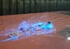 Nước biển Hạ Long đột ngột chuyển màu đỏ au, phát ánh sáng xanh kỳ lạ trong đêm