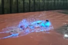 Nước biển Hạ Long đột ngột chuyển màu đỏ au, phát ánh sáng xanh kỳ lạ trong đêm