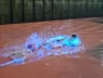 Nước biển Hạ Long đột ngột chuyển màu đỏ au, phát ánh sáng xanh kỳ lạ trong đêm
