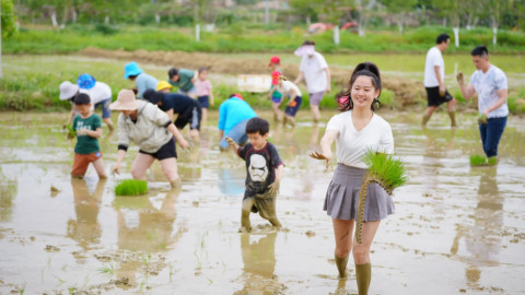 Thất nghiệp cao kỷ lục: giới trẻ Trung Quốc đổ xô về nông thôn để "nghỉ hưu"