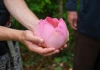 Làm thế nào biết người chết đã siêu thoát hay chưa?