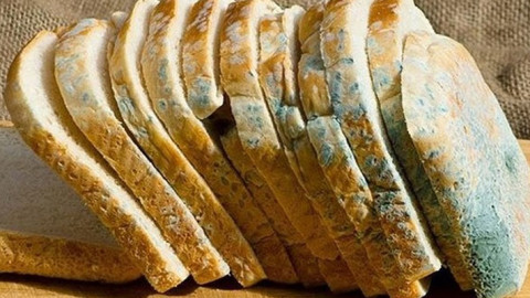Cơ thể chúng ta sẽ ra sao nếu ăn phải đồ ăn bị mốc?