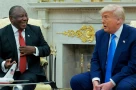 Trump: Zelensky đang làm 'cái quái gì' ở Nam Phi?