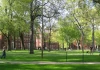Mỹ đình chỉ tuyển sinh quốc tế tại Harvard, sinh viên lo lắng và hỗn loạn