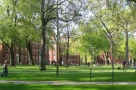 Mỹ đình chỉ tuyển sinh quốc tế tại Harvard, sinh viên lo lắng và hỗn loạn