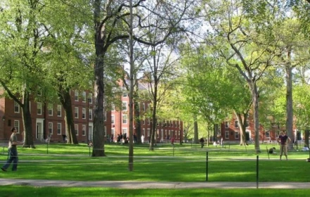 Mỹ đình chỉ tuyển sinh quốc tế tại Harvard, sinh viên lo lắng và hỗn loạn