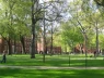 Mỹ đình chỉ tuyển sinh quốc tế tại Harvard, sinh viên lo lắng và hỗn loạn