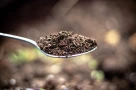 Vì sao lại có người ăn đất?