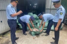 Phát hiện gần 8 tấn chân gà 'bẩn' trong kho lạnh ở Móng Cái