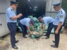 Phát hiện gần 8 tấn chân gà 'bẩn' trong kho lạnh ở Móng Cái