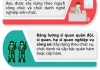 5 bảng lương mới theo vị trí việc làm