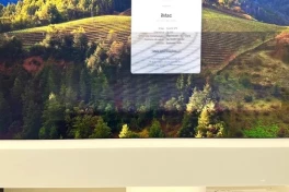 Hàng loạt máy Mac dính lỗi sọc màn hình