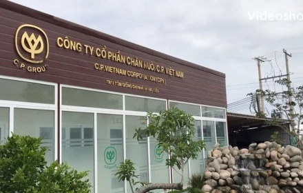 Công ty cổ phần chăn nuôi CP của ai?