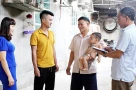 Sắp xếp thôn, tổ dân phố theo nguyên tắc và điều kiện nào?