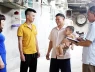 Sắp xếp thôn, tổ dân phố theo nguyên tắc và điều kiện nào?
