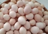 Trứng gà ta và trứng gà công nghiệp khác nhau như thế nào? Trứng nào bổ hơn?