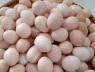 Trứng gà ta và trứng gà công nghiệp khác nhau như thế nào? Trứng nào bổ hơn?