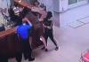 Danh tính người đàn ông đánh nữ nhân viên y tế ở Nghệ An đến nhập viện, hé lộ nguồn cơn sự việc