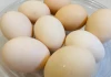 Trứng luộc, trứng rán, trứng ốp la... ăn trứng như thế nào tốt nhất?