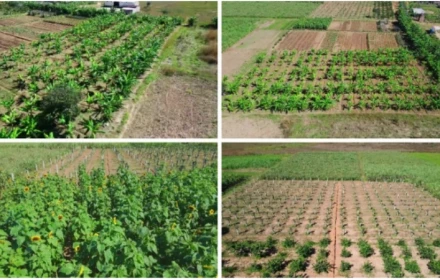Trang trại tiền tỷ của Quang Linh lâm vào cảnh 'khốn cùng': Tiết lộ quá khứ từng vấp sai lầm