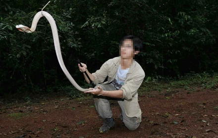 Khi thú cưng trở thành mối nguy hiểm: Trào lưu nuôi động vật độc đáo đáng lo ngại