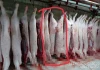 "Người tố C.P. Việt Nam" tung thêm hình ảnh heo đầy đốm lạ: Hé lộ nơi chụp